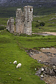 Ardvreck Castle,  Scottish Highlands