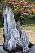 China,  Jiangsu Province,  Suzhou,  Humble Administrator´s Garden