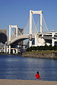 Japan,  Tokyo,  harbour,  Rainbow Bridge