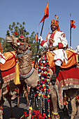India,  Rajasthan,  Jaisalmer,  Desert Festival,  camel with driver