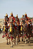 India,  Rajasthan,  Jaisalmer,  Desert Festival,  camel tattoo show