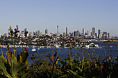Vaucluse, view over Rose Bay towards the Sydney Skyline, Sydney, New South Wales, Australia
