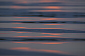 Bewegte Wasserfläche im Abendlicht, Chiemsee, Chiemgau, Bayern, Deutschland