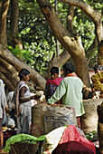 Marktstände unter Mango Bäumen, Stammes Region bei Koraput im Süden Orissas, Indien, Asien