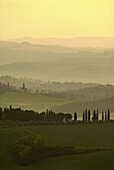 Landschaft mit Zypressen und grünen Hügeln im Frühjahr am Morgen, Toskana, Italien, Europa