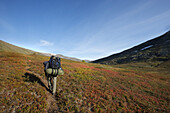 Hiker with rucksack in the Storengdalen, Sjurfjellet Saltar, Norway, Scandinavia, Europe