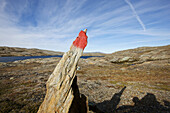 Farbiger Fels als Wegmarkierung in karger Landschaft, Saltfjell, Norwegen, Skandinavien, Europa