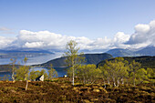 Blick auf den Hardangerfjord, Folgefonn Halbinsel, Kvinnherad, Hardanger, Fjordnorwegen, Westnorwegen, Norwegen, Skandinavien, Europa