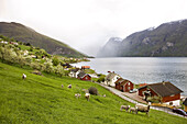 Blick über Aurland auf den Aurlandsfjord im Frühling, Sogn og Fjordane, Norwegen, Skandinavien, Europa