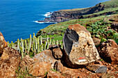 Wegmarkierung an einem Stein an der Küste, Santo Domingo de Garafia, La Palma, Kanarische Inseln, Spanien, Europa