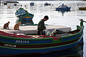 Two cats and a fisherman in a traditional fishing boat, a Luzzu at Spinola Bay, St, Julian's, Malta, Europe