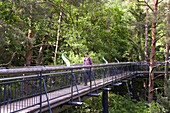 Treetop walk, Biosphere House, Fischbach bei Dahn, Palatine Forest, Rhineland-Palentine, Germany
