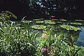 Am Seerosenteich in Monets Garten, Giverny, Normandie, Frankreich, Europa