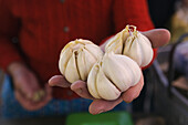Woman offering garlic, farmers' market on Kaiser-Josef-Platz, Graz, Styria, Austria
