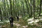 Hiking in Thayan national  park, Lower Austria, Austria