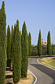 Castello Banfi, bei Montalcino, Toskana, Italien