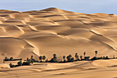 Oase Um el Ma und Sanddünen, libysche Wüste, Libyen, Sahara, Afrika