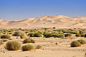 Sanddünen in der libysche Wüste, Sahara, Libyen, Nordafrika