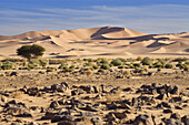 Sanddünen in der libysche Wüste, Sahara, Libyen, Nordafrika