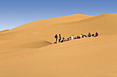 Camel Caravan in the libyan desert, Dromedaries, Camelus dromedarius, Libya, Sahara, North Africa