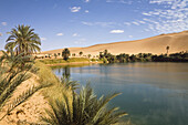 Mandara Lakes in the dunes of Ubari, oasis Um el Ma, libyan desert, Libya, Sahara, North Africa