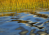 Abstracts, boat wake, Clouds, Cumulus, Grasses, Reflections, Spartina, Spartina grass, A06-826107, agefotostock 