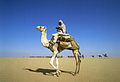 Caravan, Sahara desert near Abu Simbel, Egypt  March 2007)