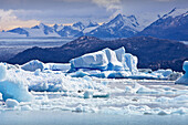 Argentino Lake near Upsala Glacier, Los Glaciares National Park, Patagonia, Argentina  March 2009)