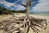 Beach, Madagascar