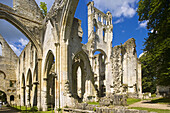 Ruins of abbey, Jumieges. Seine-Maritime, Haute-Normandie, France