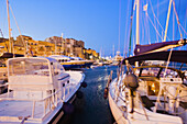 View of the citadel from the port, Calvi. Haute-Corse, Corsica Island, France