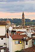 Dome of the Basilica of Santa Maria del Santo Spirito and bell tower as seen from Hotel Baglioni, Florence. Tuscany, Italy