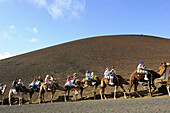 Camel tour at Timanfaya National Park, Lanzarote. Canary islands, Spain