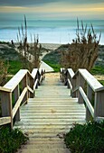 Beach, Landscape, Natural, Outdoors, Path, Pathway, Seascape, Wood, Wooden, A75-1010800, agefotostock 
