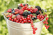 Bucket of berries
