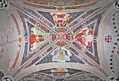 Fresken in der Kirche von Barolo, Piemont, Italien / Fresco in the church of Barolo, Piedmont, Italy, Europe