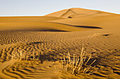 Sanddünen, Dunes de Juifs, Wüste in der Nähe von Zagora, Sahara, Marokko