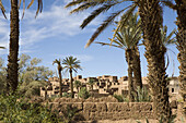 Tamnougalt in the Draa Valley, Morocco
