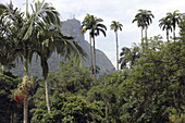 Christusstatue auf dem Berg Corcovado gesehen vom Jardim Botanico, Botanischer Garten, tropischer Park in Rio de Janeiro, Brasilien