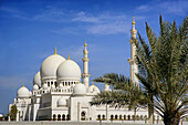 Sheikh Zayed Mosque, Abu Dhabi, UAE  United Arab Emirates)