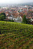 Town view from vineyards, Esslingen am Neckar, Baden-Wurttemberg, Germany