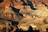 Grand Canyon National Park from Maricopa Point in the late afternoon, Arizona, USA