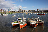 Puerto del Buceo port, Buceo, Montevideo, Uruguay
