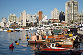 Coastal Cities, Coastal City, Color, Colour, Daytime, exterior, Fishing boat, Fishing boats, Harbor, Harbors, Harbour, Harbours, Horizontal, Moored, outdoor, outdoors, outside, Port, Ports, Punta del Este, South America, Travel, Travels, Uruguay, Waterfro