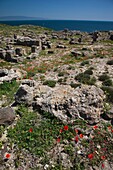 Italy, Sardinia, Oristano Region, Sinis Peninsula, Tharros, ruins of ancient Phoenician city