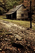 USA, Tennessee, Gatlinburg, Great Smoky Mountains National Park, historic Bud Ogle Farm, 1883-1925, autumn