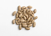 legume type  on white background