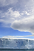 Iceberg in Scotia Sea, Antarctica