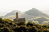 France, Corsica, Patrimonio vineyards, San Martinu church