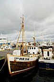 Iceland, Reykjavik, harbour, fishermen boats
